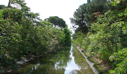 milano marittima